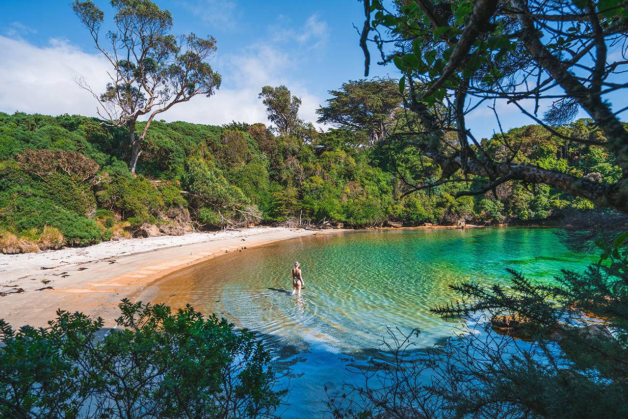 Southland stewart island bathing beach, Stewart Island tour