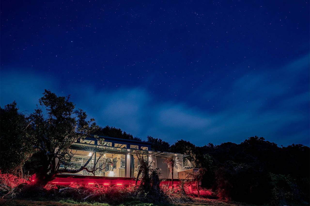 Tokoeka purepod stewart island night sky