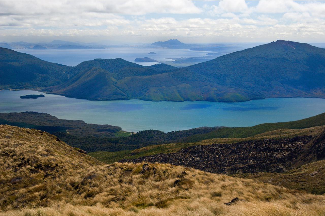 11 Day North Island Backpacking Journey: From Cape to Coast
