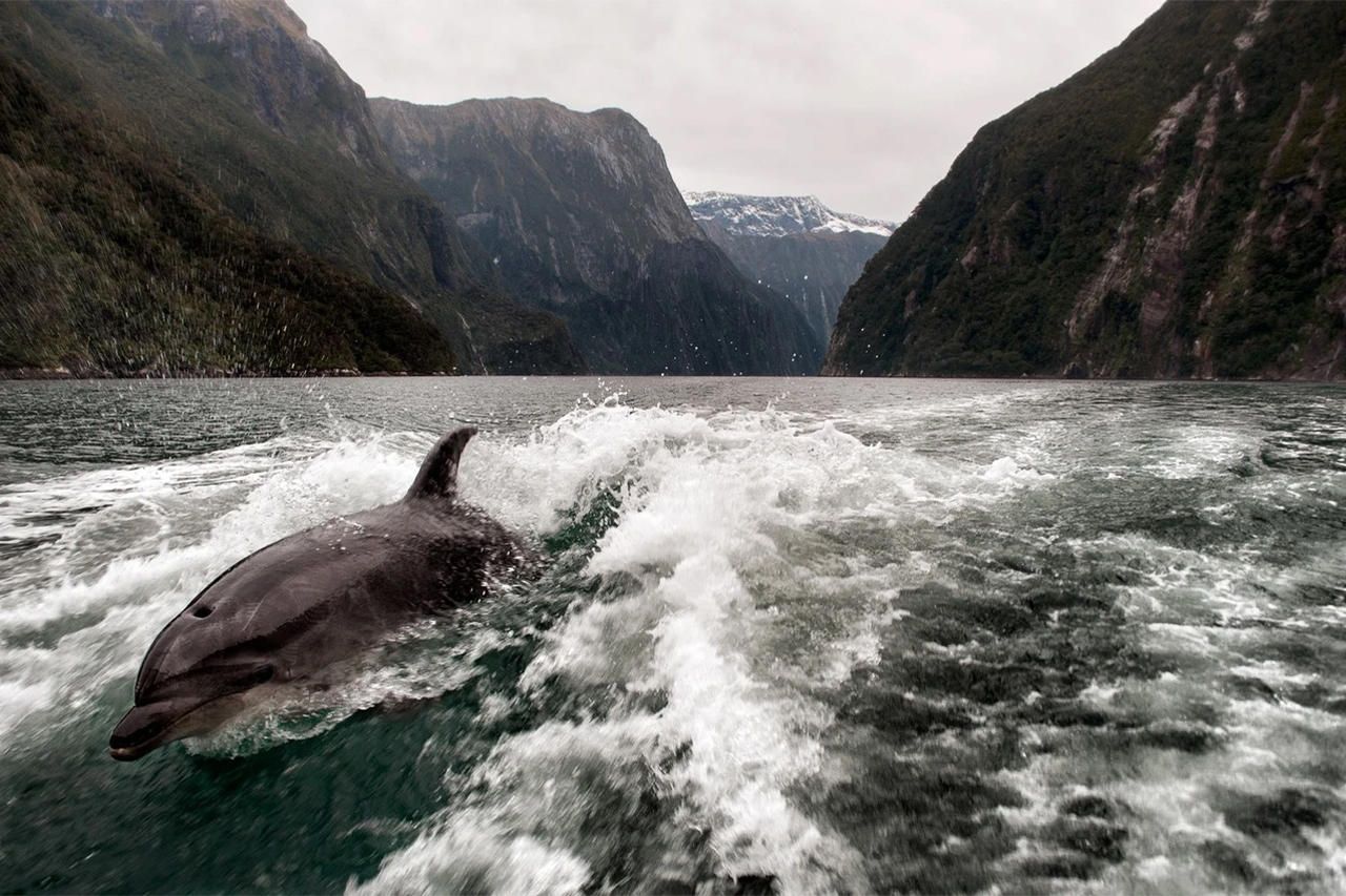 Wild luxury fiordland itinerary