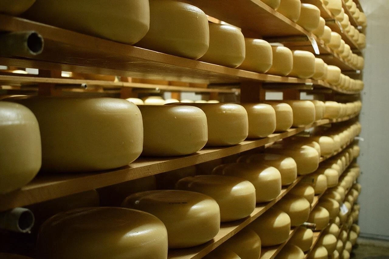 Mahoe Farmhouse cheese Kerikeri