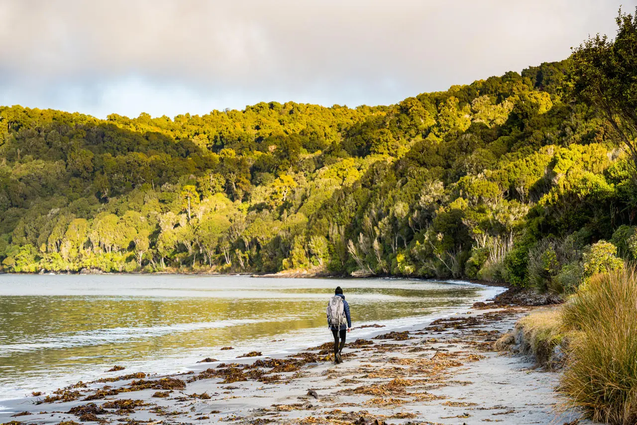 Rakiura Track - Southland, New Zealand