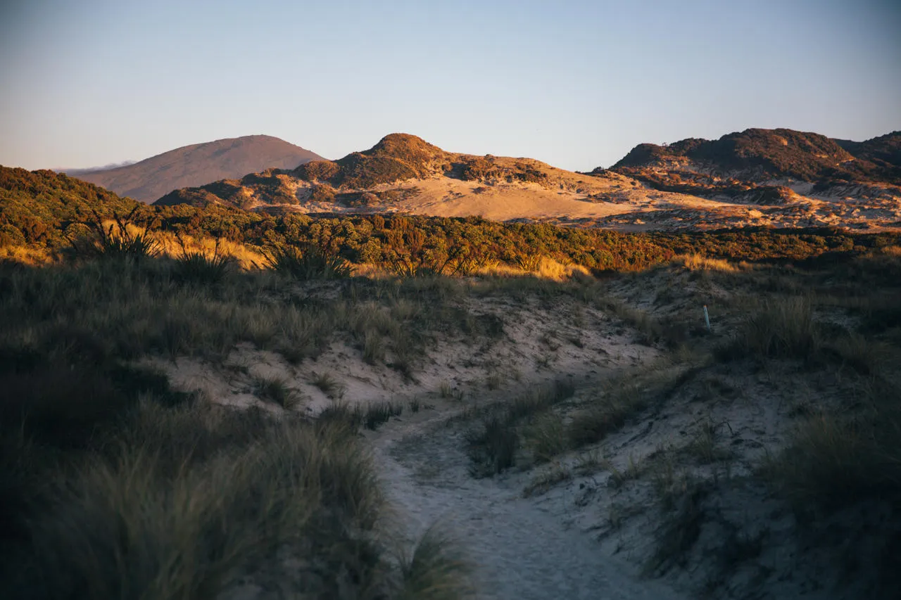 Stewart Island - Southland, New Zealand
