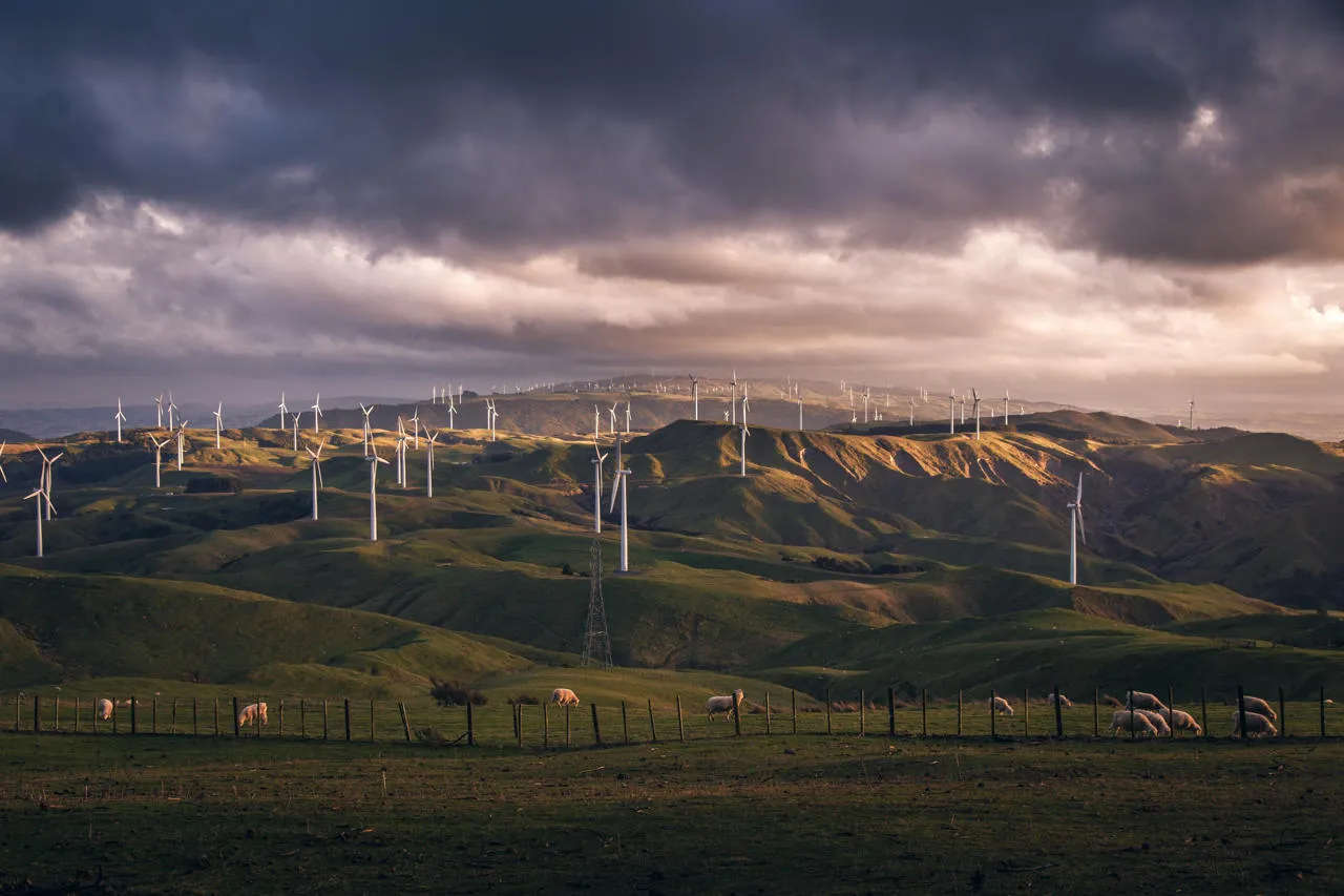 Te Apiti Wind Farm