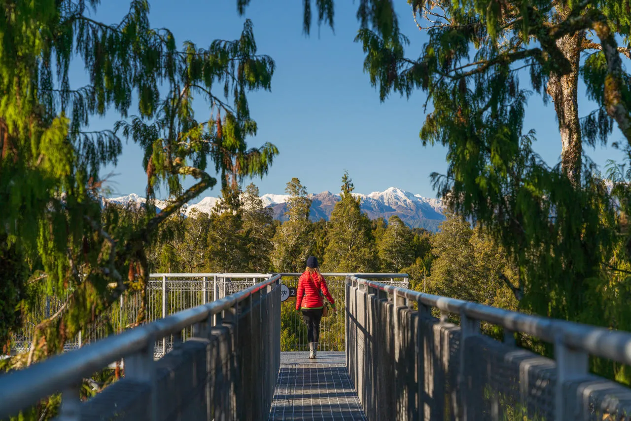 West Coast Treetop Walkway, West Coast