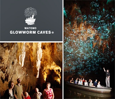Waimoto Glowworm caves